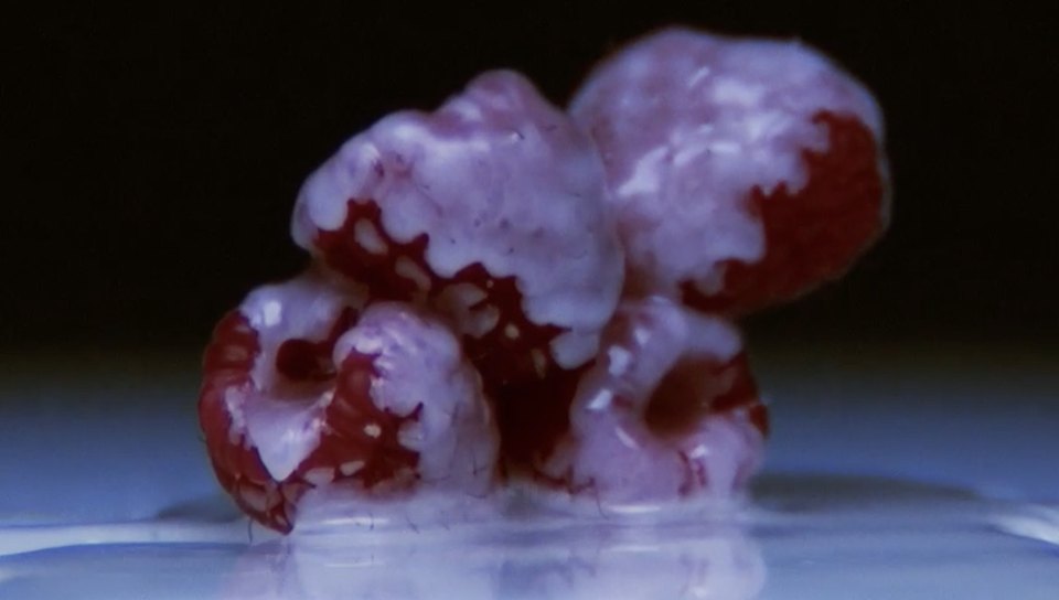 Infinity film still of melting raspberries
